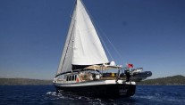 SEA COMET -  Cruising